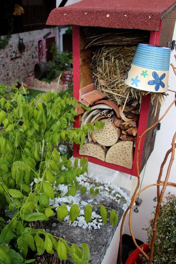 Les 3 Ceps Villa Bergholtz Ngoại thất bức ảnh